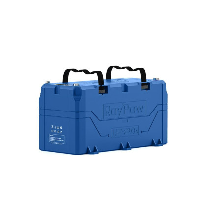 Batterie lithium lifepo4 24v 100a - roypow